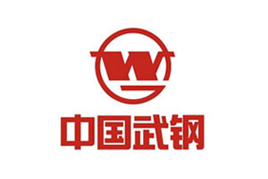 【案例】ag贵宾厅耐磨陶瓷衬板在武汉钢铁烧结厂的实验结论报告